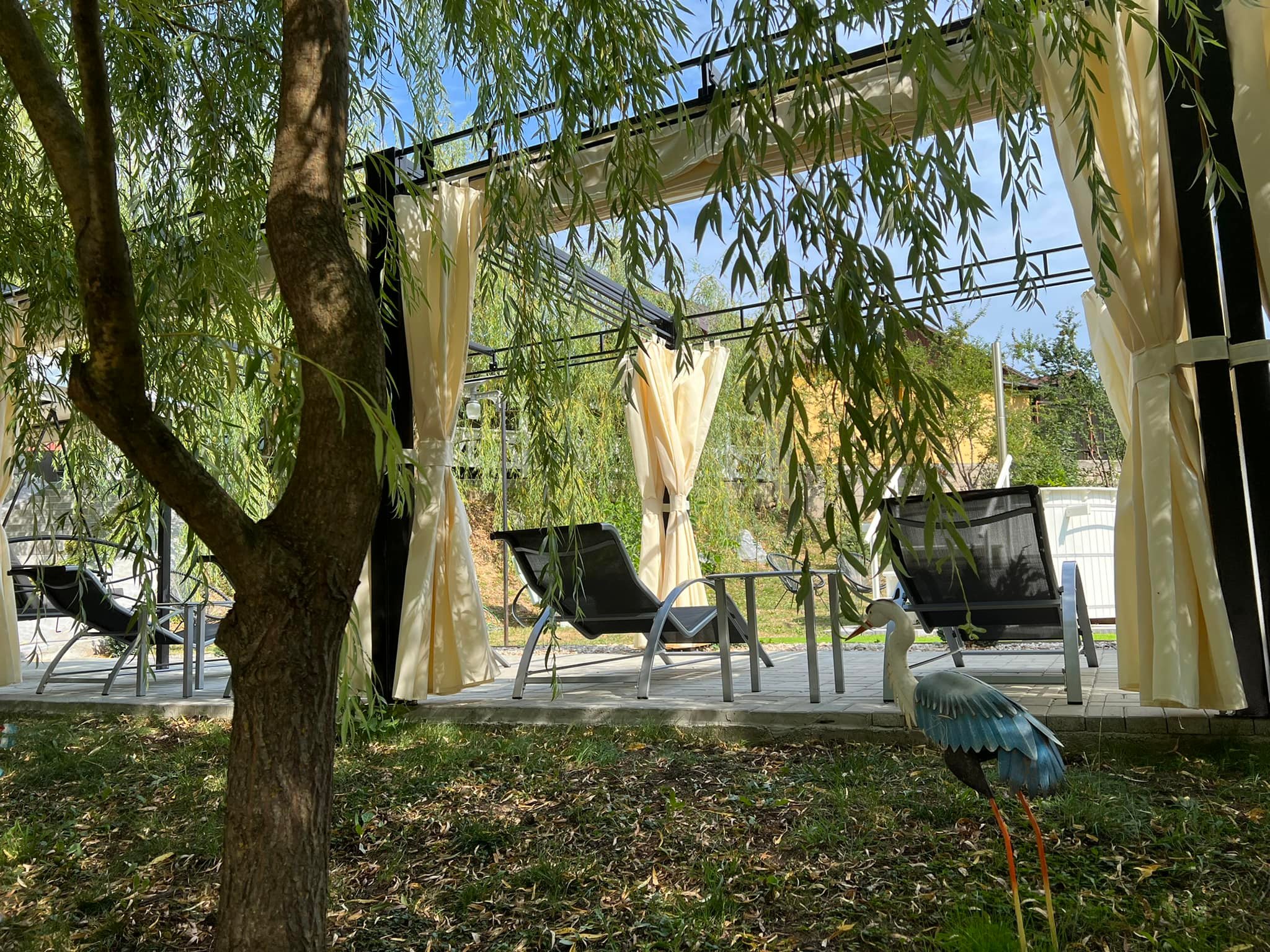 Grădină și terasă